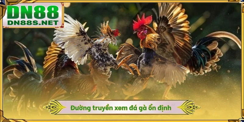 Đường truyền xem đá gà ổn định