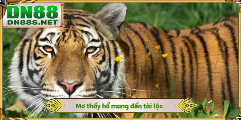 Mơ thấy hổ mang đến tài lộc